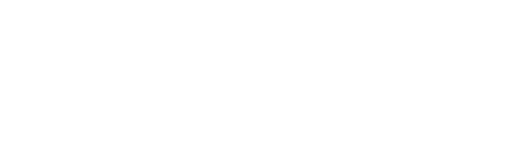 Accident Fund Insurance Company of America (Part of the AF Group).